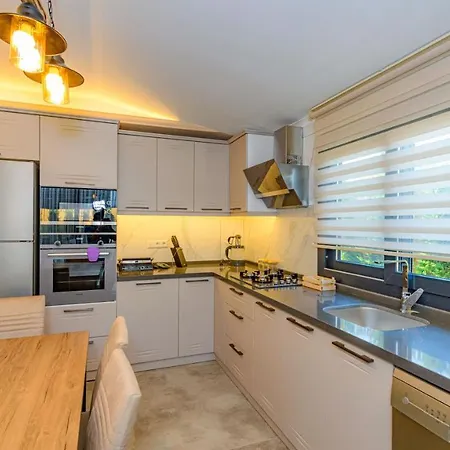 Söğüt 1 - 4 Bedroom With Jacuzzi In Villa *